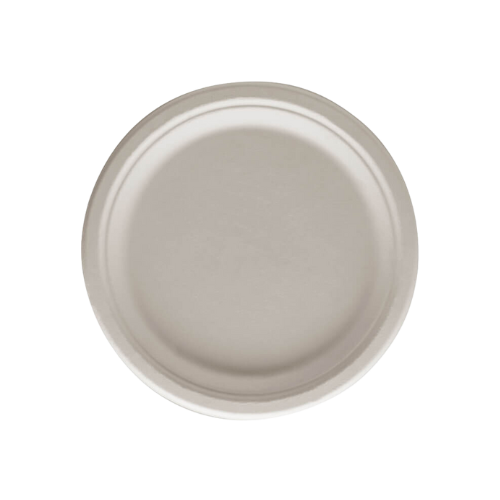 Plato Biodegradable 22,5 cm